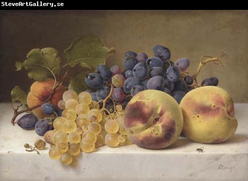 Johann Wilhelm Preyer A Still Life with Peaches and Grapes on a Marble Ledge